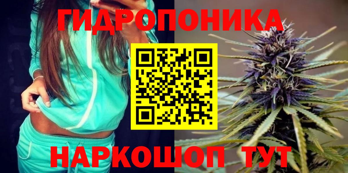 Бошки Шишки семена Лесозаводск
